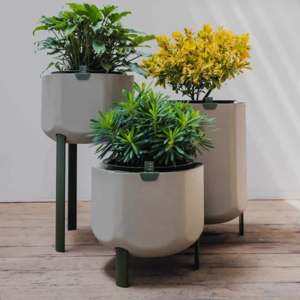 Marly’s Self-Watering Planter - Image 2