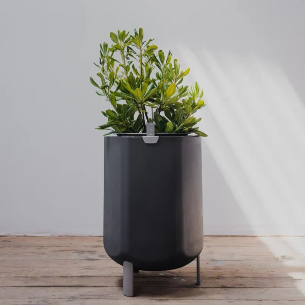 Marly’s Self-Watering Planter - Image 4