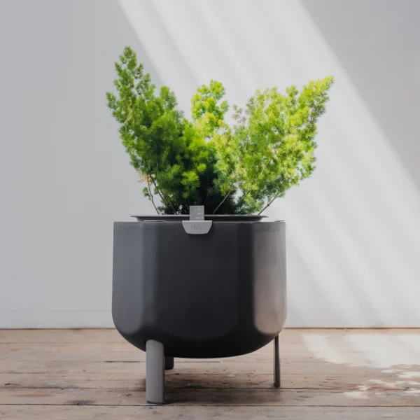 Marly’s Self-Watering Planter - Image 3
