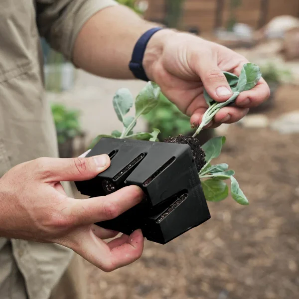 The Essential Seed Starting Kit - Image 10